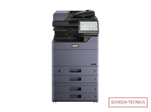 Lorem ipsum dolor sit